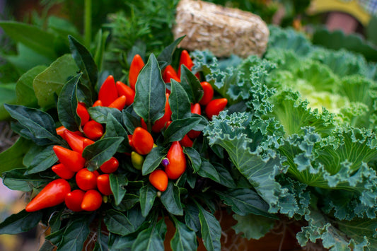 Seasonal Vegetable Gardening: Planting and Care Tips