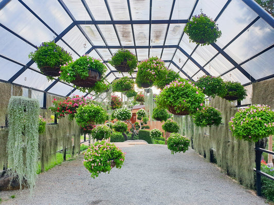 DIY Vertical Gardens: Maximize Small Spaces