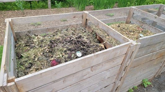 Composting at Home: Turn Waste into Garden Gold