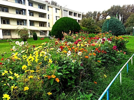 Eco-Friendly Gardening: Sustainable Practices
