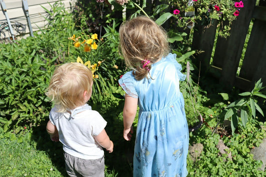 Beginner’s Guide to Container Gardening