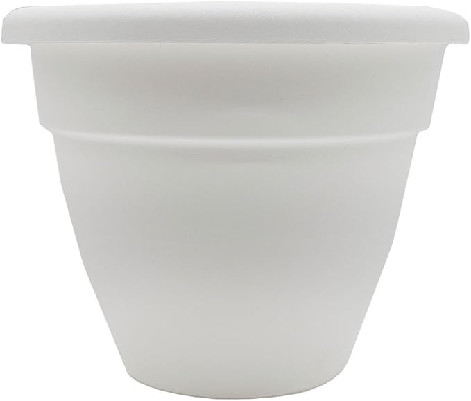 The HC Companies 6 Inch Caribbean Planter - Lightweight Indoor Outdoor Plastic Plant Pot for Herbs and Flowers, White