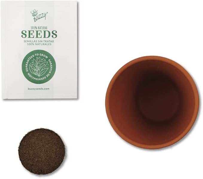 Buzzy Seeds Terracotta Mini Grow Pots | Herb, Plant, Flower Starter Kit for Kids & Adults | Assorted 12-Pack, Daydream Collection | Guaranteed to Grow | Best Indoor-Outdoor Gardening Gift