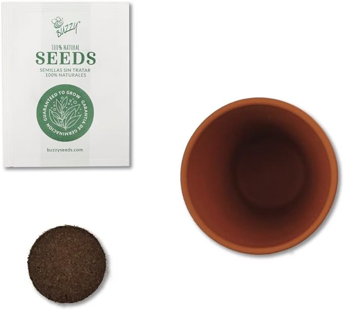 Buzzy Seeds Terracotta Mini Grow Pots | Herb, Plant, Flower Starter Kit for Kids & Adults | Assorted 6-Pack, Daydream Collection | Guaranteed to Grow | Best Indoor-Outdoor Gardening Gift