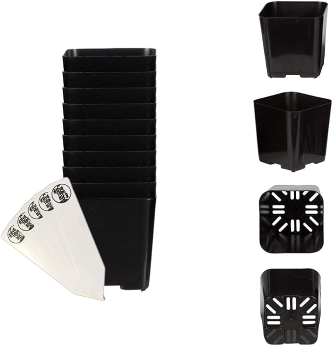 The Hydroponic City Black Square Flower Nursery Pots for Starting Seedlings, Succulents, or Cacti - 2" x 2", Pack of 10 + 5 THCity Stakes