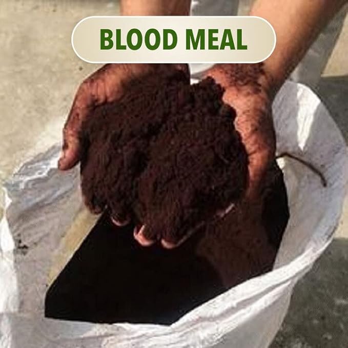 PreMixed Super Soil 3 Gallon Pot - Every Thing Included for The Perfect Grow (add only Seed and Water)