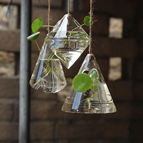 Glass Hanging Planters Indoor Outdoor Plant Pots Water Plant Containers Flower Pots Glass Terrariums Wall Vases 3 Pieces