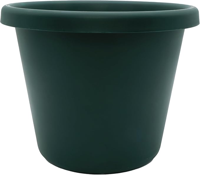 The HC Companies 8.5 Inch Round Classic Planter - Plastic Plant Pot for Indoor Outdoor Plants Flowers Herbs, Evergreen