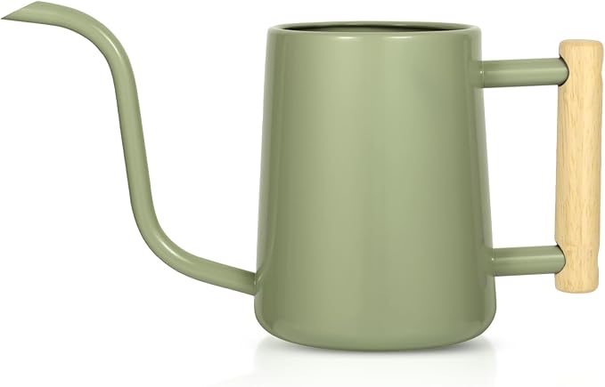 Watering Can Indoor Plants, 35 oz/1000 ml Metal Stainless Steel Watering Can Pot with Long Spout for Indoor House Plants Bonsai Outdoor Garden Flower Decorative (Sage Green)