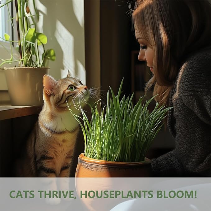 Cat Grass for Indoor Cats - Cat Grass Seeds Kit - Organic Cat Grass Growing Kit with High Germination Organic Wheat Seeds, Soil, and Planting Tools - Natural Hairball Control and Digestion Remedy