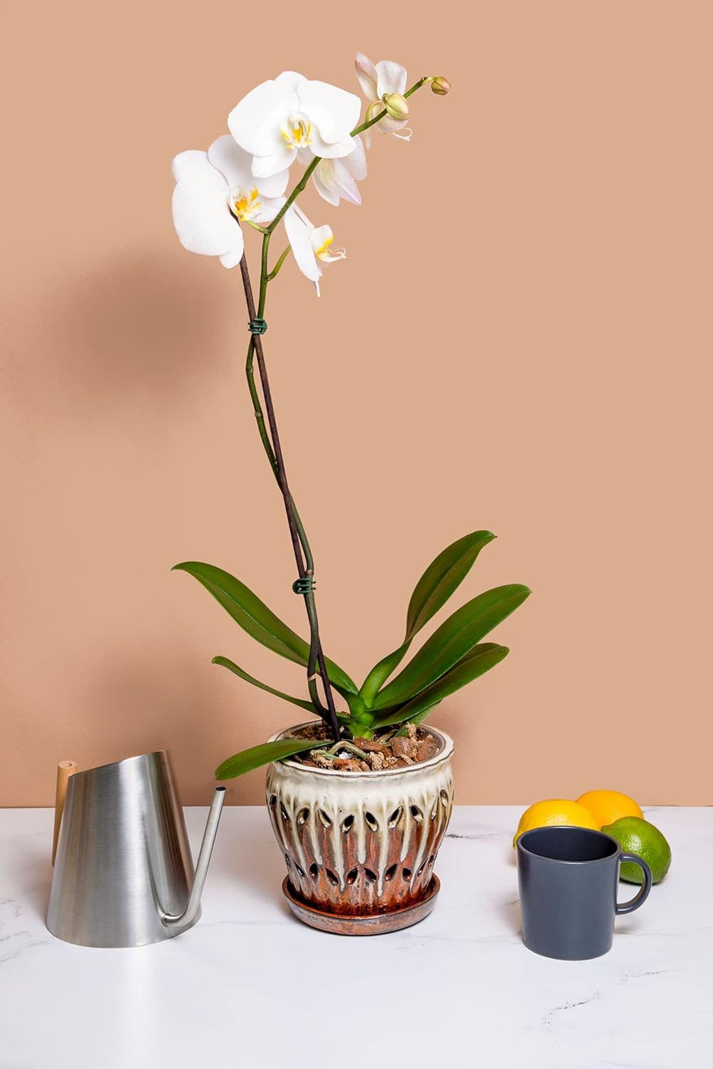rePotme 6" Pinwheel Fluted Ceramic Plant Pot (Honey Cream Over Copper) - Great for Orchids, Succulents, and All Indoor Plants