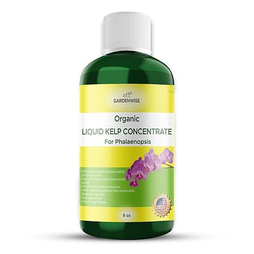 Organic Premium Kelp Seaweed Concentrate: Fertilizer for Phalaenopsis Orchids β Liquid Plant Fertilizer β Orchid Bloom Booster β Seaweed Extract for Plants (8 OZ)