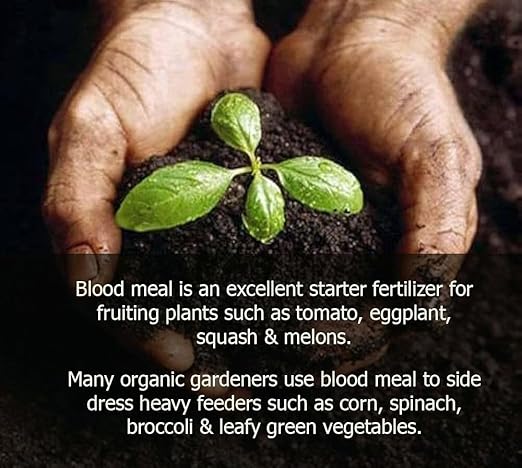 Premium 12-0-0 Organic Blood Meal Fertilizer by Gardenera - All-Natural Plant Food Source of Nitrogen for Organic Gardening, Flowers, Vegetables, Trees & Shrubs - 2 Quart