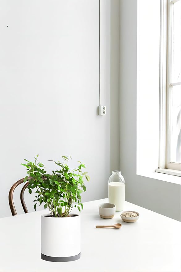 2 Pack Ceramic Plant Saucer Pot Tray 6 Inch, Planter Saucers 4 5 6 7 8 9 10 11 12 13 Inch for Indoors Outdoor, Durable Sturdy Flower Drainage drip Water Tray for Glazed Pots Base (6.4 Inch-Grey)