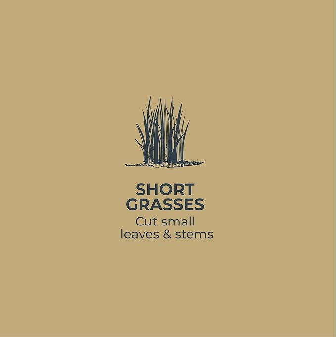 WOODLAND TOOLS Co. Regular Duty Fixed Blade Grass Shears, Grass Clipper, Lawn Shears, Handheld Grass Scissor (15-6001-100)