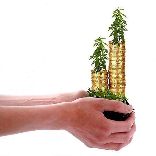 Professional Liquid Money Tree Fertilizer | 3-1-2 Concentrate for Plants and Flowers | Multi-Purpose Blend & Gardening Supplies | 8 oz Bottle