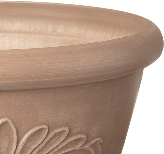 Arcadia Garden Products PSW Pot TA30TP Collection Shallow Bulb Pan Planter Dish Low Bowl for Succulents, Bonsai, Fairy Gardens, Herbs, 12-inch, Taupe