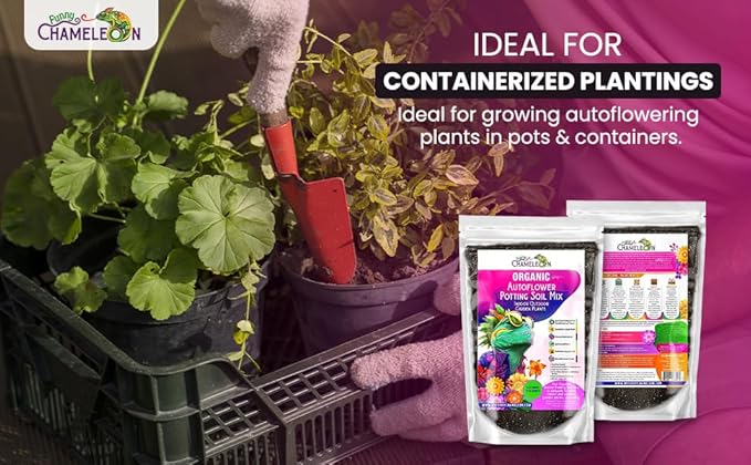 Organic Autoflower Potting Soil Mix β Ready-to-Use Living Soil, No Fertilizers Needed β Balanced Nutrients, Light Texture, Excellent Drainage, Boosts Germination & Root Growth (4 QUARTS)