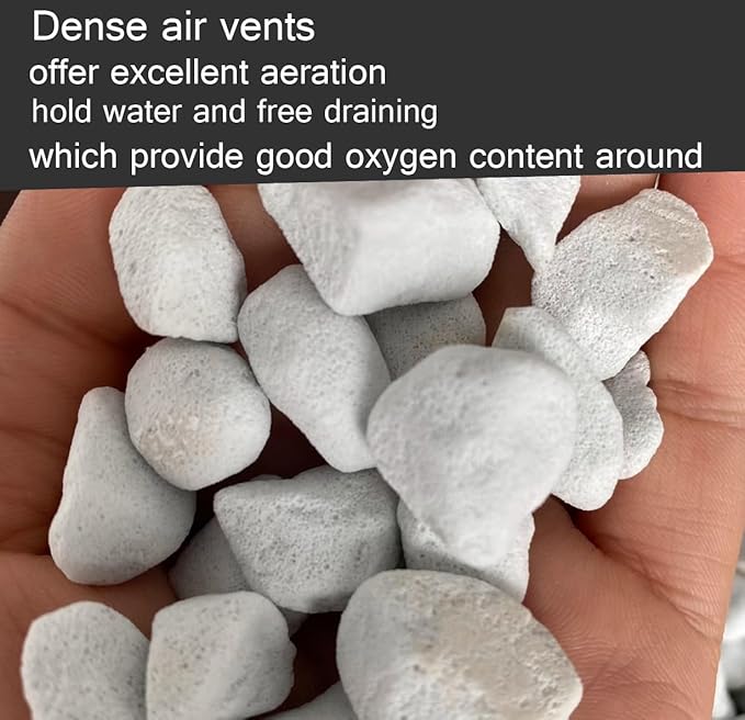 10QT Organic Perlite Horticultural Soil Amendment for Plants and Enhanced Drainage Enhanced