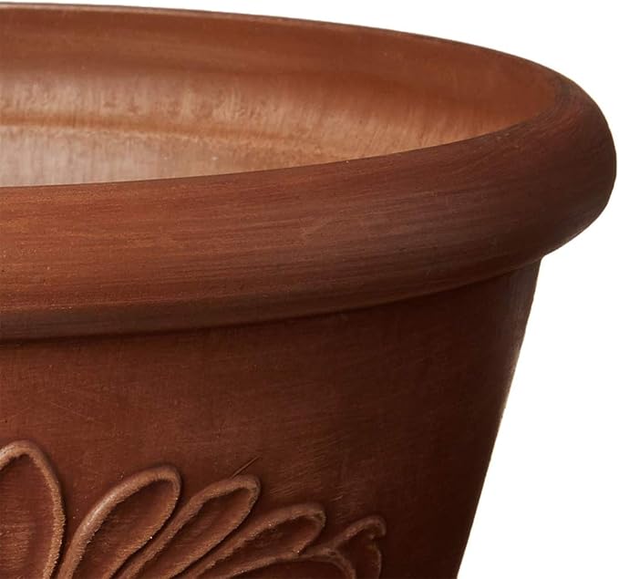 PSW Pot TA25TC Collection Shallow Bulb Pan Planter Dish Low Bowl for Succulents, Bonsai, Fairy Gardens, Herbs, 10-inch, Terra Cotta Color