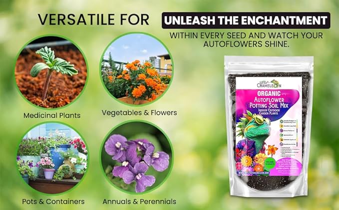 Organic Autoflower Potting Soil Mix β Ready-to-Use Living Soil, No Fertilizers Needed β Balanced Nutrients, Light Texture, Excellent Drainage, Boosts Germination & Root Growth (4 QUARTS)
