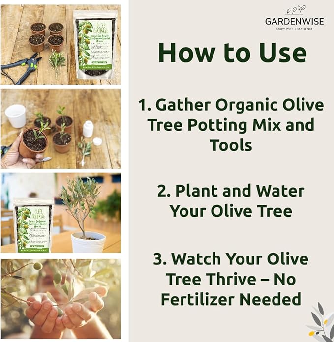 Organic Olive Tree Potting Mix – Fast-Draining, Nutrient-Rich Soil for Indoor & Outdoor Olive Trees – Mediterranean Plant Care – Long-Lasting Formula (4 QUARTS)