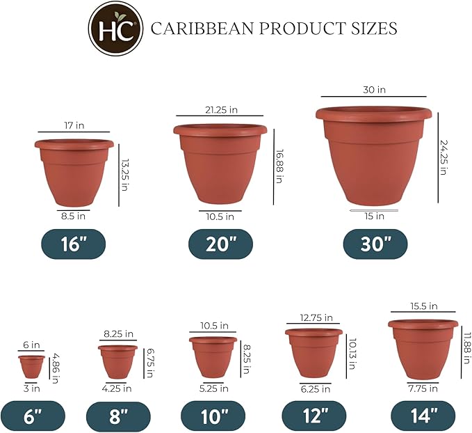 The HC Companies 6 Inch Caribbean Planter - Lightweight Indoor Outdoor Plastic Plant Pot for Herbs and Flowers, Clay