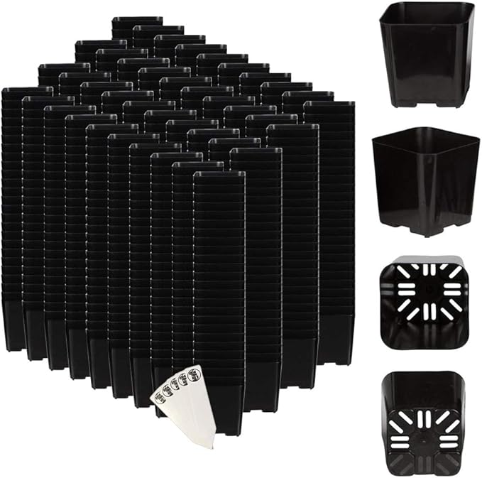 The Hydroponic City Black Square Flower Pots for Starting Seedlings, Succulents, or Cacti - 2" x 2", Pack of 1000 + THCity Stakes