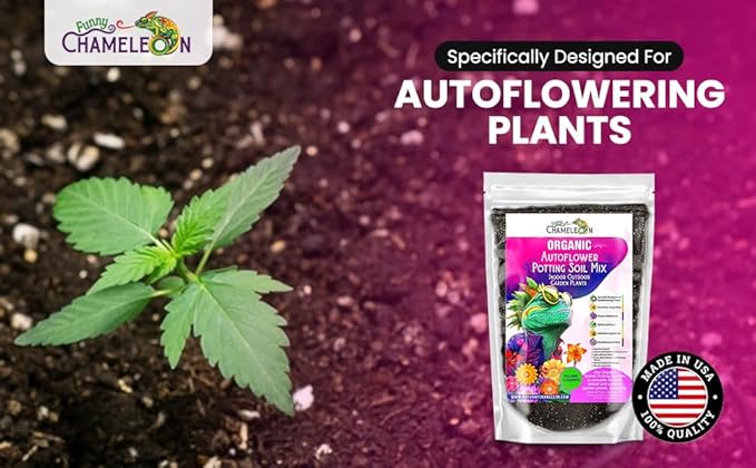 Organic Autoflower Potting Soil Mix β Ready-to-Use Living Soil, No Fertilizers Needed β Balanced Nutrients, Light Texture, Excellent Drainage, Boosts Germination & Root Growth (4 QUARTS)