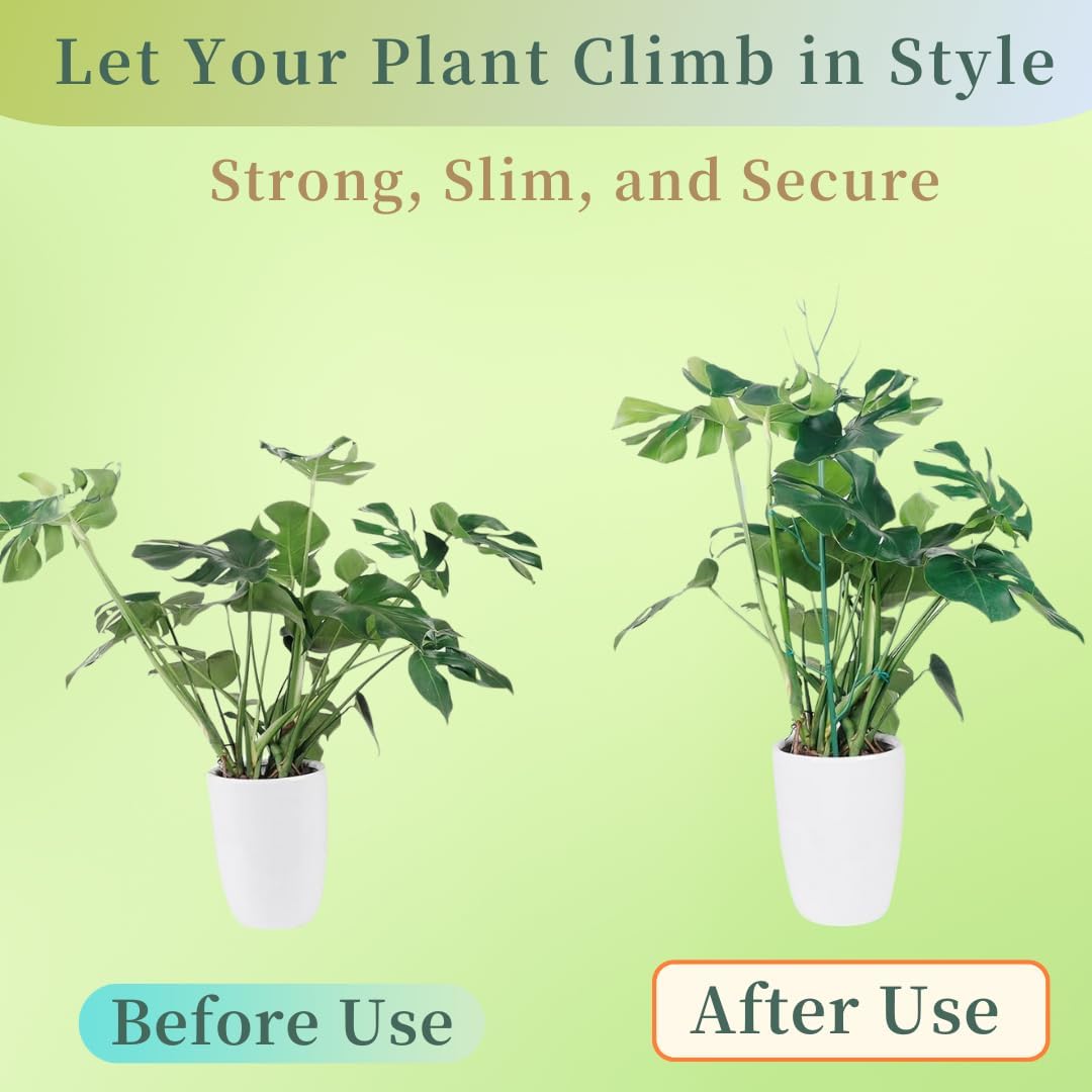 5 Pack Stackable Monstera Plant Support Stakes, 38inch Climbing Garden Plant Support Sticks Structures for Indoor Outdoor Plants Alternative to Moss Pole