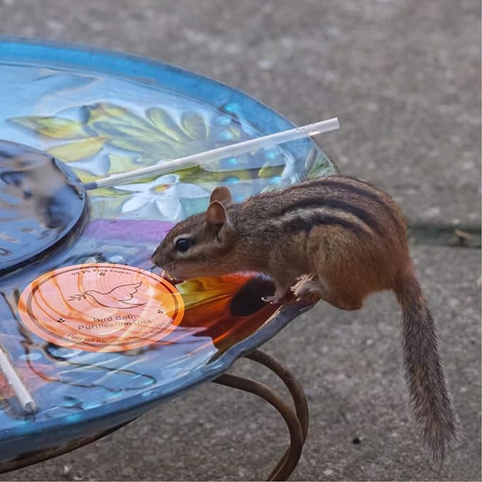 1Pack Bird Bath Copper Purification Disk | 0.6mm Reinforced 99.9% Pure Copper | Universal Fit for Outdoor Birdbaths(Birdbath Copper 1 Pack)