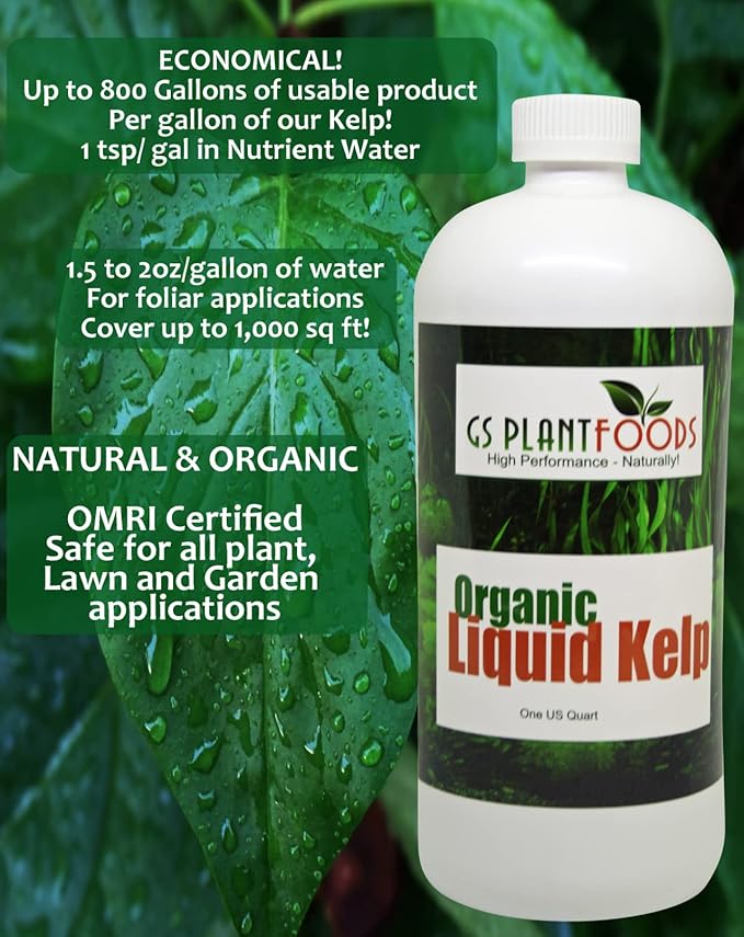 Kelp Fertilizer by GS Plant Foods (5 Gallon) - Organic Liquid Fertilizer for Gardens, Lawns & Soil - Liquid Kelp Concentrate