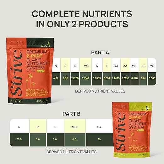 Strive Fertilizer Part B Package - Veg + Bloom General Hydroponic Nutrients - Premium Indoor, Outdoor and Soil Growing Plant Food - Enhancer - Booster for Vegetables, Succulents, Flowers & More