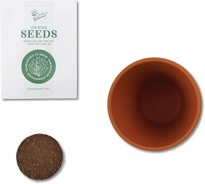 BUZZY Terracotta Mini Grow Pots | Mini Daisy 6-Pack | Daydream Collection | Best Gardening Gifts, Favors, Weddings, Parties, Events, Modern, Trendy, Unique, and Fun | Growth Guaranteed