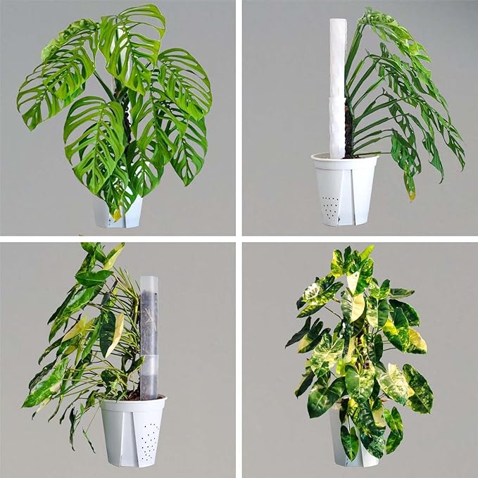Plastic Moss Pole 4 Pcs Plant Stakes Extending to 62 Inch for Training Indoor Climbing Plants Such as Monstera to Grow Upwards-Use Plant Support Poles Work with Sphagnum Moss or Other soils