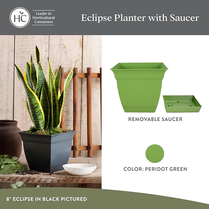 The HC Companies 8 Inch Eclipse Square Planter with Saucer – Indoor Outdoor Plant Pot for Flowers Vegetables Herbs, Peridot Green (Pack of 4)