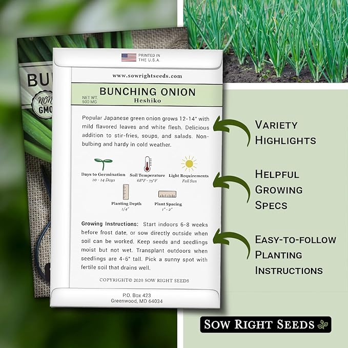 Sow Right Seeds - Heshiko Japanese Bunching Green Onion Seeds for Planting - Non-GMO Heirloom - Instructions to Plant and Grow a Kitchen Garden Indoors or Outdoors - Mild Onion Flavor for Cooking (2)