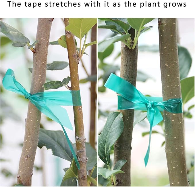 Stretch Tie Tape Roll, 1/2" 150ft Garden Tie Tape, Thick Sturdy Plant Ribbon Garden Green Vinyl Stake Gardening Tools for Indoor Outdoor Patio Plant Use (2 Pack)