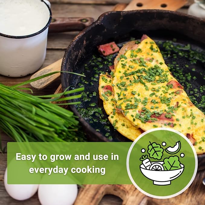Sow Right Seeds - Common Chives Seed for Planting - Non-GMO Heirloom Packet with Instructions to Plant and Grow Kitchen Herb Garden Indoor or Outdoor - Mild Onion Flavor (1)