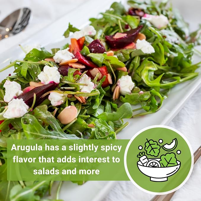 Sow Right Seeds - Arugula Seeds for Planting - Non-GMO Heirloom Seeds with Instructions to Plant a Home Vegetable Garden - Indoors, Hydroponics or Outdoors - Salad Greens - Grow Kitchen Herbs (3)