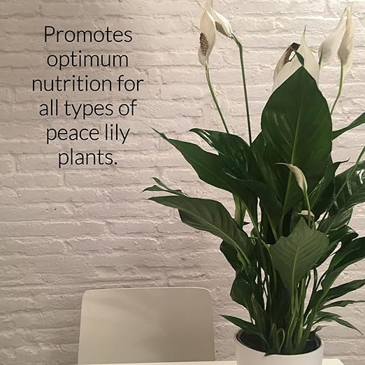 Professional Liquid Peace Lily Plant Fertilizer | 3-1-2 Concentrate for Plants and Flowers | Multi-Purpose Blend & Gardening Supplies | 8 oz Bottle