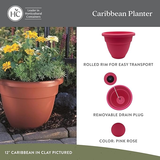 The HC Companies 8 Inch Caribbean Planter - Lightweight Indoor Outdoor Plastic Plant Pot for Herbs and Flowers, Pink Rose