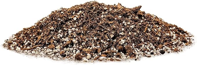 Organic Premium Potting All Purpose Soil - Seed Starter Soil for Leafy Greens, Tomatoes and Other Seedlings, Seeds and Starts - (1 Quart Bag)