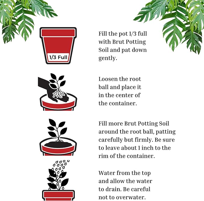 Brut Organic Potting Soil – 1 CF – Everything Your Plants Need in one Bag. Indoor and Outdoor Container Plants.