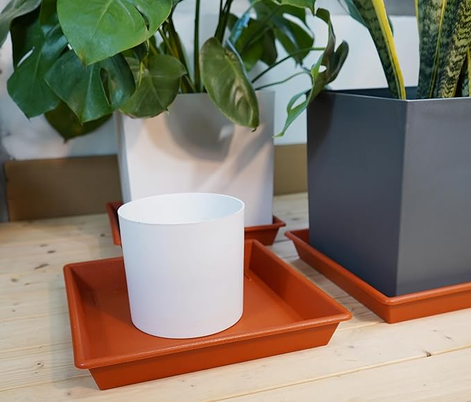Square Plant Saucer 20 Inch 2 Pack, Large Plant Trays for Pots Heavy Duty Plastic Plant Saucers for Indoors Outdoors, Flower Pot No Holes Terracotta Plant Lover Gardening Gifts