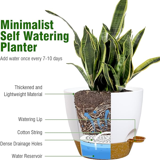 8 inch Self Watering Pots, 2 Pack Plastic Planters with Mesh Drainage Holes for Garden Plants and Flower, Plants Pots with Deep Reservoir for Indoor Outdoor Plants, White with Brown