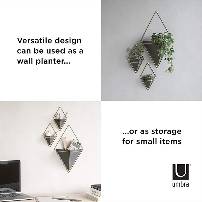 Umbra Trigg Hanging Planter Vase Wall Decor, Pot and Container for Succulents, Cactus, Faux Plants, and More, Large, Black/Brass
