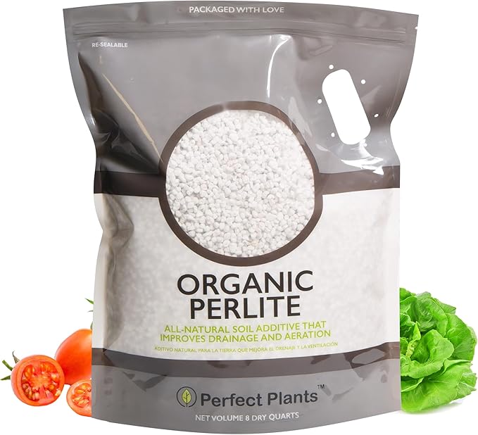 Organic Perlite by Perfect Plants β Add to Soil for Indoor & Outdoor Container Plants for Drainage Management and Enhanced Growth (8qts.)