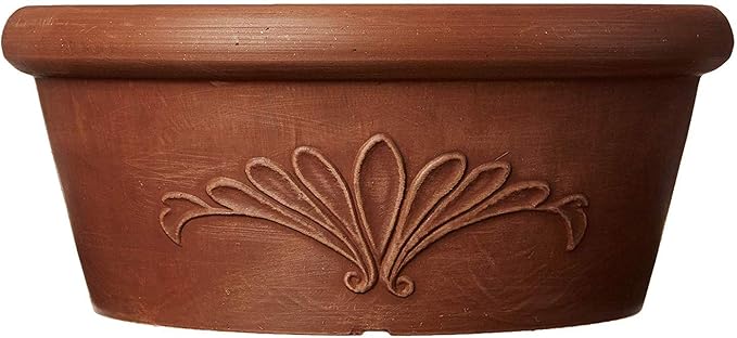 PSW Pot TA30TC Collection Shallow Bulb Pan Planter Dish Low Bowl for Succulents, Bonsai, Fairy Gardens, Herbs, 12-inch, Terra Cotta Color