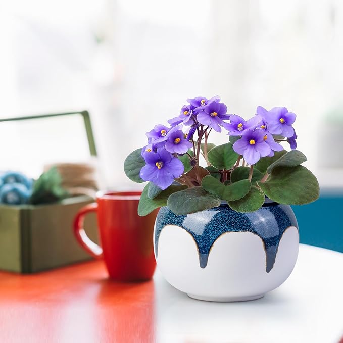 African Violet Pots,6 Inch Self Watering Pots for Indoor Plants,Easy Plant Self Watering Planter, Ceramic Plant Pot with Absorbent Inner Pot for Flowers - Gradient Blue